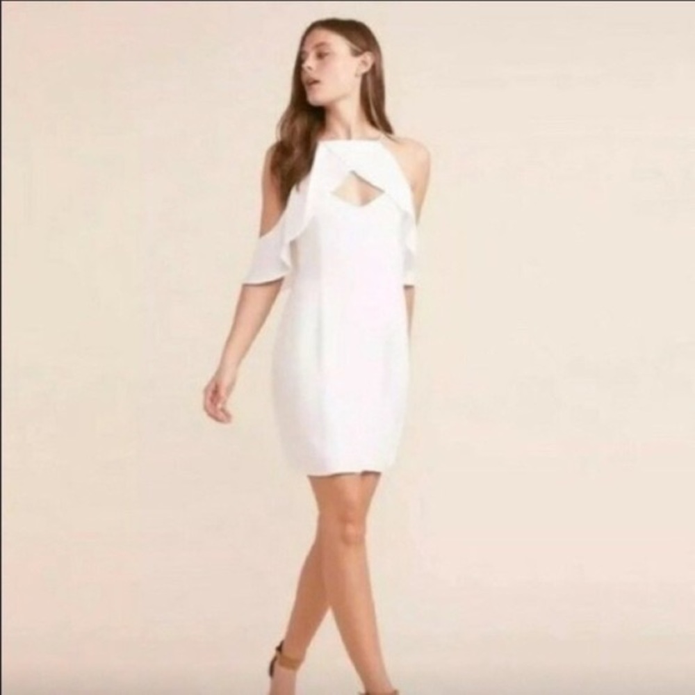 BB Dakota Kaless ruffle dress size 6